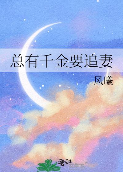 总有千金要追妻
