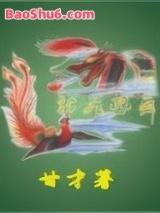 龙飞凤舞