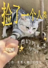 ���������෢���ˣ�����NP ��ȫ�ࣩ