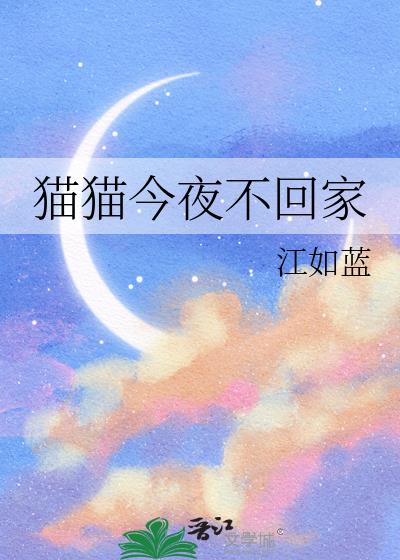 猫猫今夜不回家