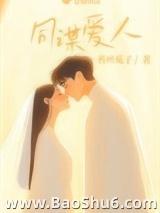 同谋爱人