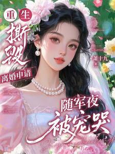 重生撕毁离婚申请,随军夜被宠哭