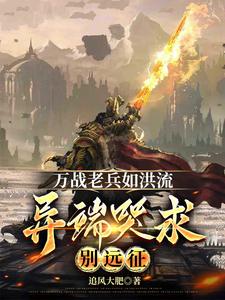 万战老兵如洪流,异端哭求别远征