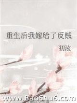 重生后我嫁给了反贼