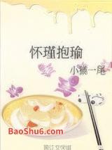 怀瑾抱瑜