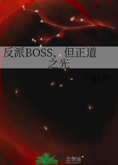 反派BOSS,但正道之光