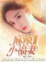 重回九零麻辣小福妻