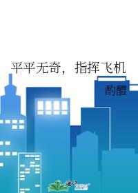 平平无奇,指挥飞机