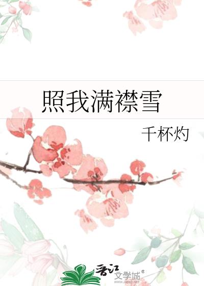 照我满襟雪
