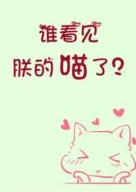谁看见朕的喵了?